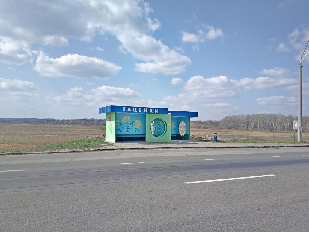 джерело: http://www.panoramio.com/photo/105238049