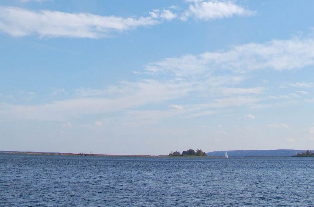 20095639