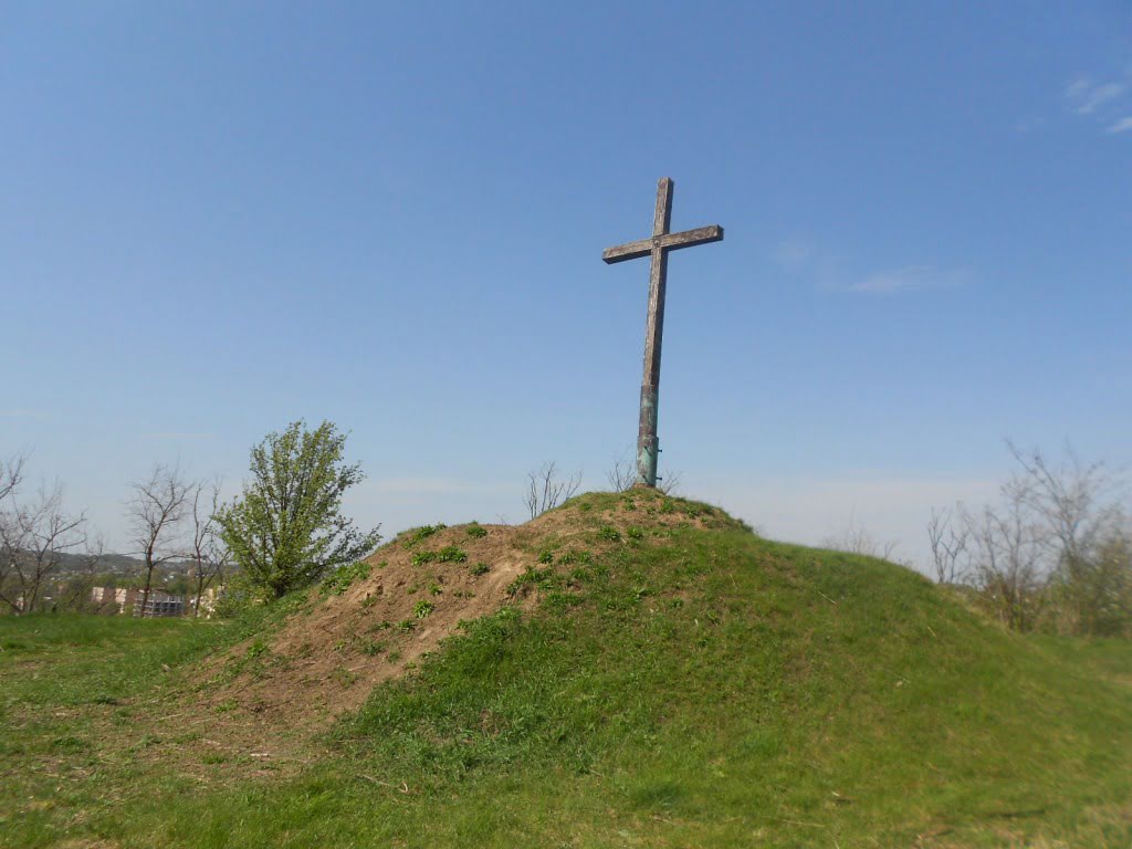 DSCN0590
