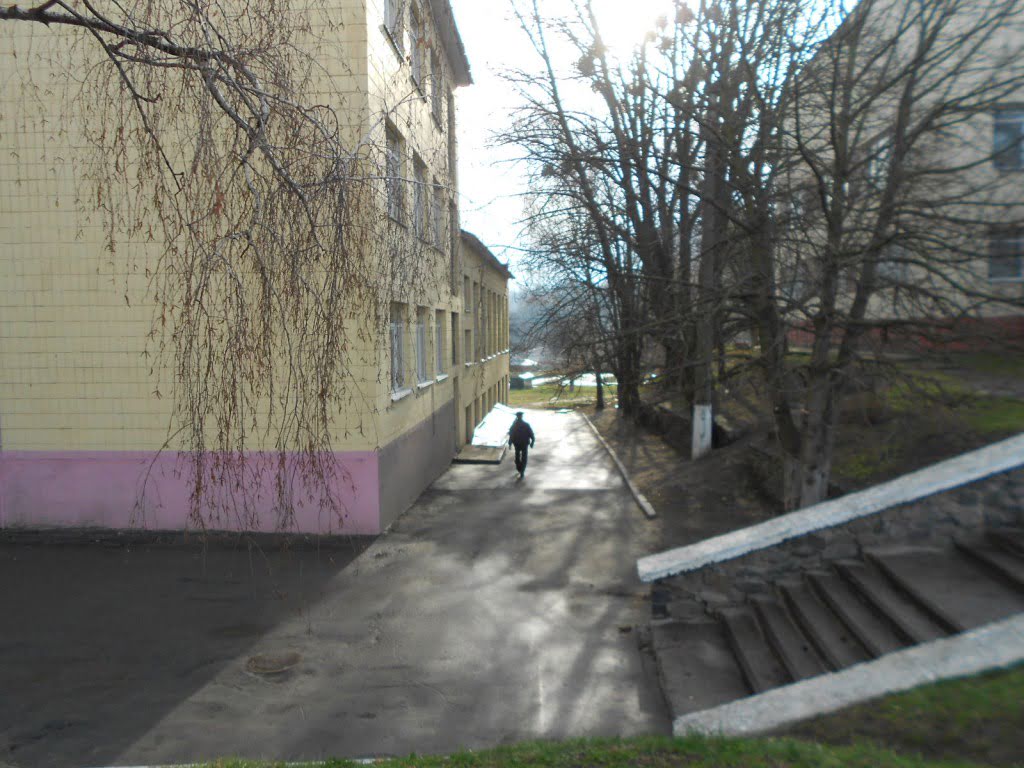 DSCN7368