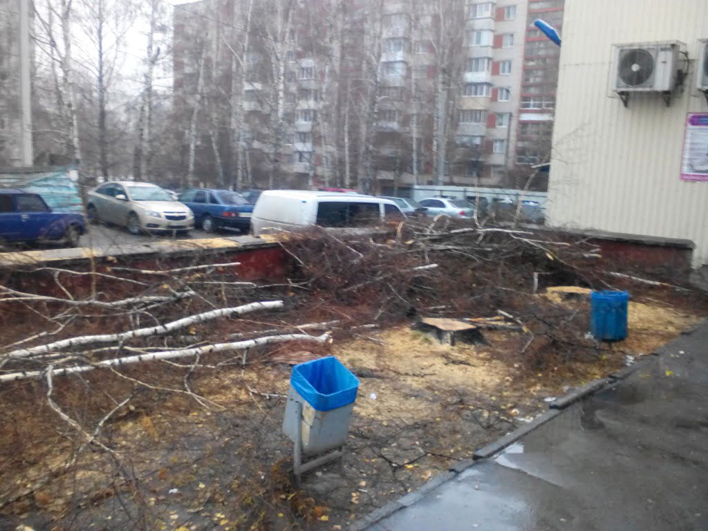 IMG_20151129_092712