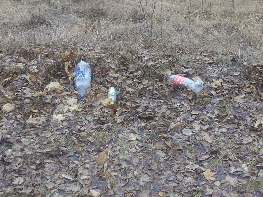 img_20161126_135855
