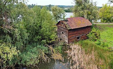 Уникальная столетняя мельница на Обуховщине: удастся ли сохранить редкую достопримечательность