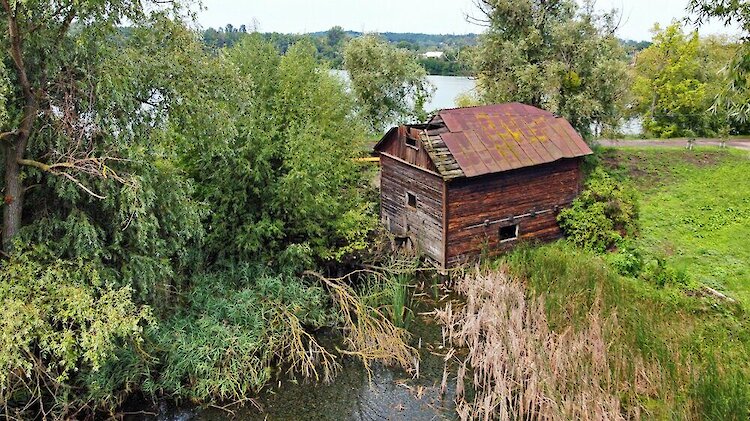 Уникальная столетняя мельница на Обуховщине: удастся ли сохранить редкую достопримечательность