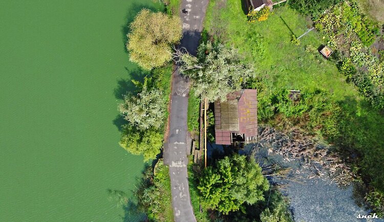 Уникальная столетняя мельница на Обуховщине: удастся ли сохранить редкую достопримечательность