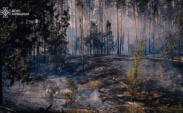 На Обуховщине продолжается ликвидация пожаров, вызванных российскими обстрелами