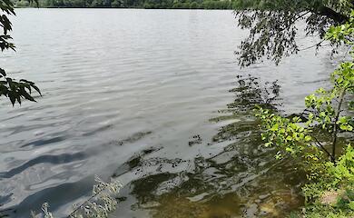 В Обухове планируют паспортизировать водоемы громады