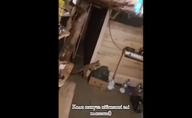 В бліндаж до бійців навідався дивний диверсант: не ховався і шукав їжу
