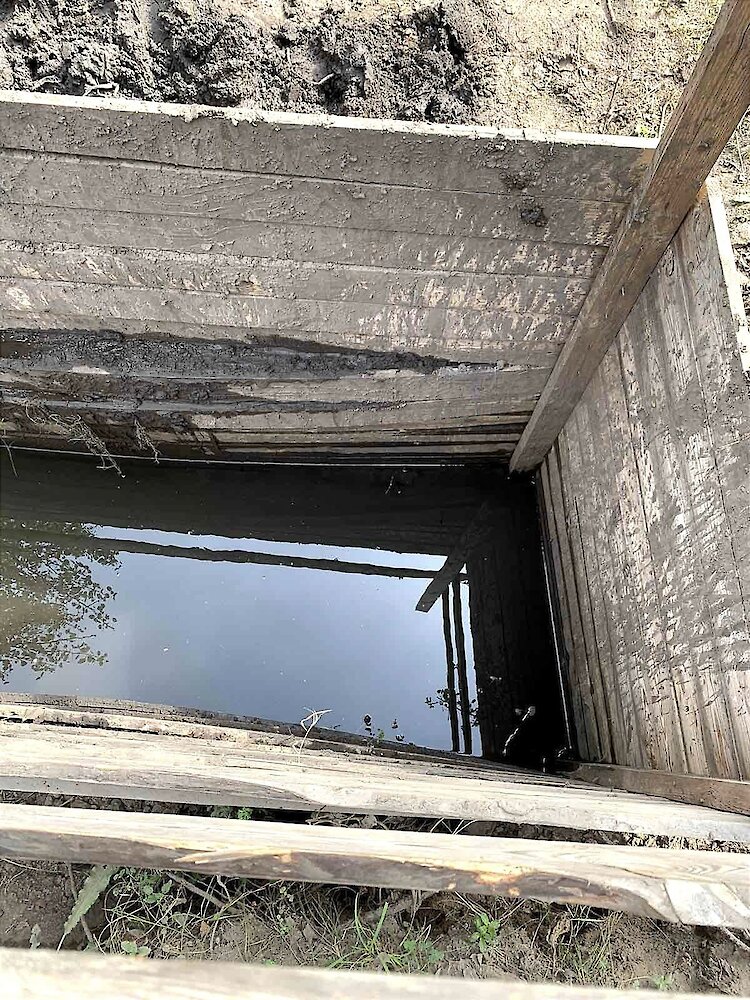 Энтузиасты рассказали, как смастерили водопой для редких лошадей