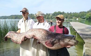 Улов всей жизни: рыбаки поймали и съели почти 100-килограммового сома
