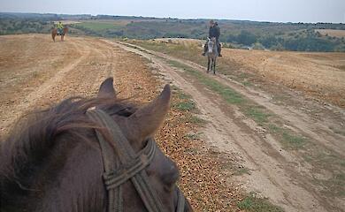 Конные путешествия на редких животных предлагают возле Ржищева