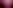Дикі свині допомогли здійснити важливе археологічне відкриття