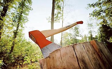 Обуховский суд продлил меры пресечения подозреваемым в незаконной вырубке леса