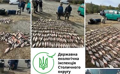 Более 600 тысяч убытков нанесли браконьеры на Обуховщине