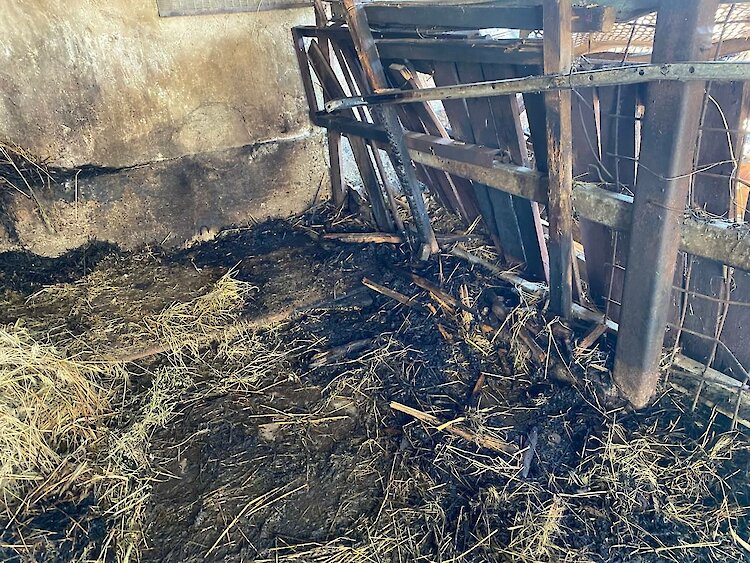 Война и козы: как фермеры из Херсонщины строят новую жизнь на Обуховщине