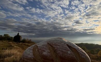 Витачев - место, где живет аутентичный украинский хлеб