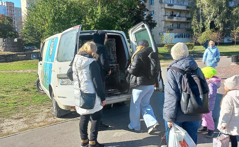 В Украинке продолжают стерилизовать бездомных животных