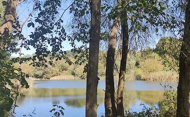 Дослідник знайшов цікаву мапу села Пії