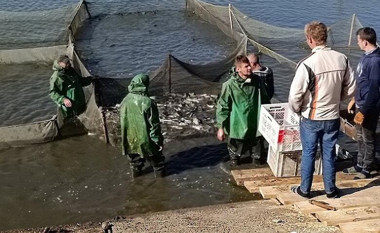 Понад 17 тонн риби випустили у водосховище на Обухівщині