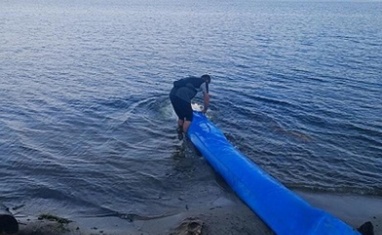Понад 17 тонн риби випустили у водосховище на Обухівщині
