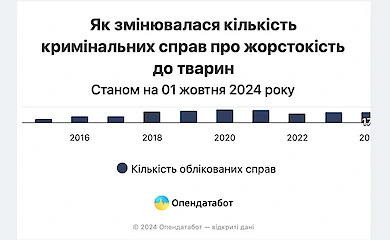 2024: рік, коли збільшилась кількість справ за жорстокість до тварин