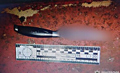 Застолье на Обуховщине закончилось поножовщиной: нападающему грозит 8 лет тюрьмы