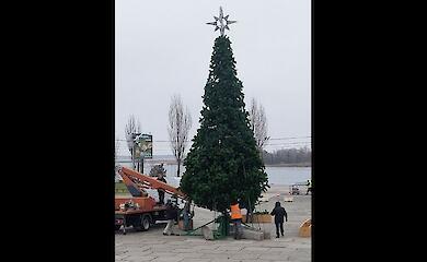 В Украинке устанавливают главную новогоднюю елку в Украине