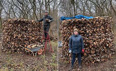 На эко-станции возле Ржищева рассказали как хранить дрова по немецкой технологии