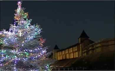 Обуховщина: в Древнем Киеве заработает Резиденция Святого Николая