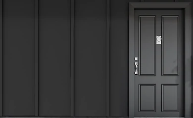 Як вибрати ідеальні вхідні двері для вашого будинку: практичний посібник
