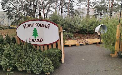 Праздник приближается: будет ли главная елка в Обухове и за чей счет?