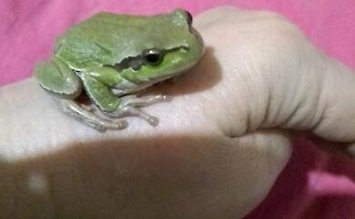Из колодца вытащили странное существо, которого там не должно было быть