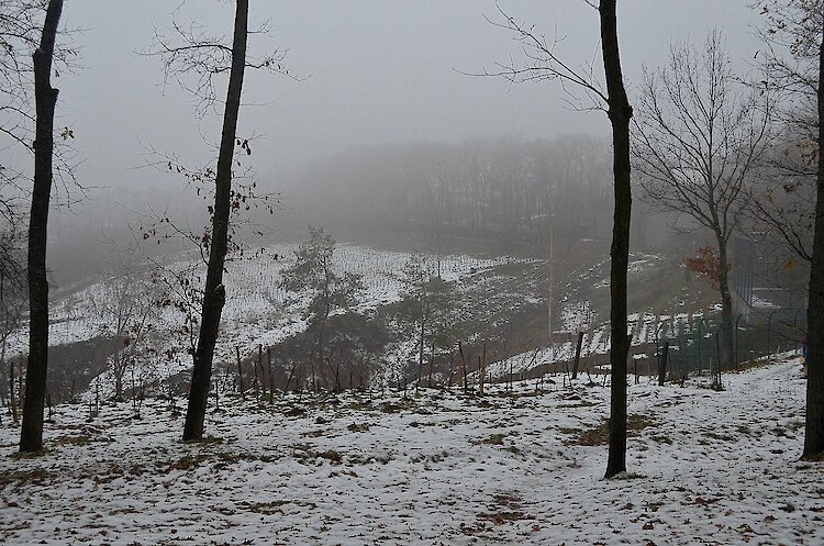 В винодельне неподалеку от Обухова создают древние вина