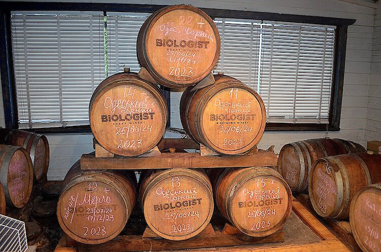В винодельне неподалеку от Обухова создают древние вина