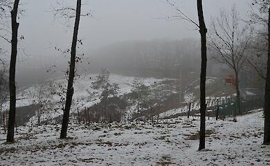 Крафтовая винодельня под Киевом: от мечты к реальности
