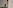 В блиндаже у бойцов поселился интересный сосед: пищит и плюется ядом