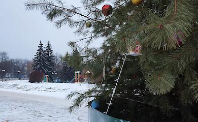 В Богуславе в этом году не будут устанавливать главную елку - жители проголосовали против