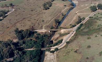 Археологи нашли более 55 видов съедобных растений древнего человека