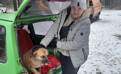 Около четырех тысяч животных простерилизовали в Богуславской громаде за 2 года