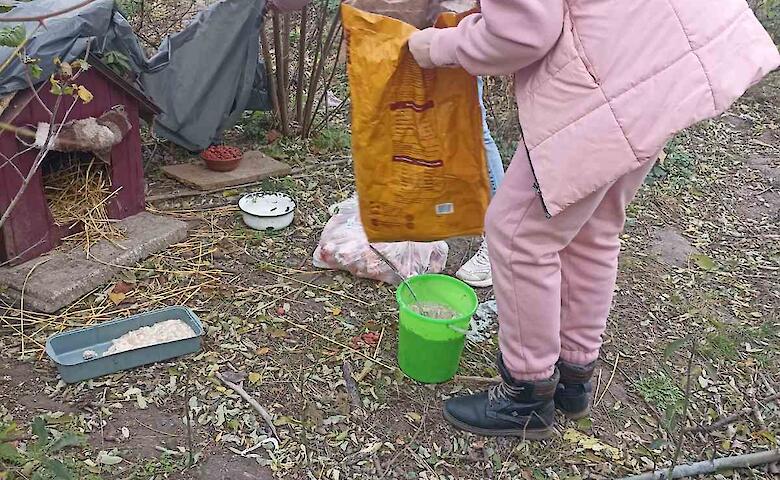 Около четырех тысяч животных простерилизовали в Богуславской громаде за 2 года