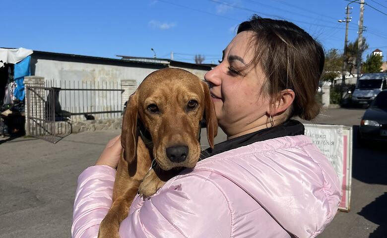 Около четырех тысяч животных простерилизовали в Богуславской громаде за 2 года