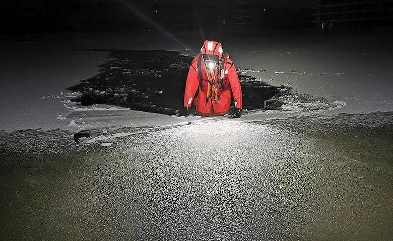 В Подгорцах из замерзающего озера спасли 3 лебедей