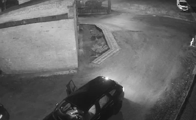 В Василькове нелюди выбросили щенков: в мэрии пообещали найти и наказать