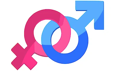 Биолог рассказал, почему люди имеют пол и занимаются сексом