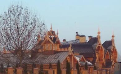 Юрій Бойко володіє маєтками та землею на Обухівщині