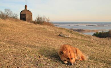 Витачев: начало года среди красоты, место, где захватывает дух