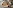 Особливості кави для HoReCa: на що звернути увагу власникам закладів