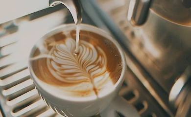 Особливості кави для HoReCa: на що звернути увагу власникам закладів
