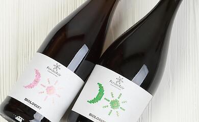 Обуховщина становится новым винодельческим регионом Украины благодаря энтузиастам