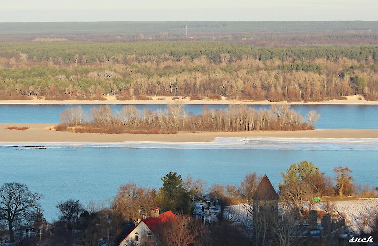 На Днепре заметили огромную стаю зимующих уток